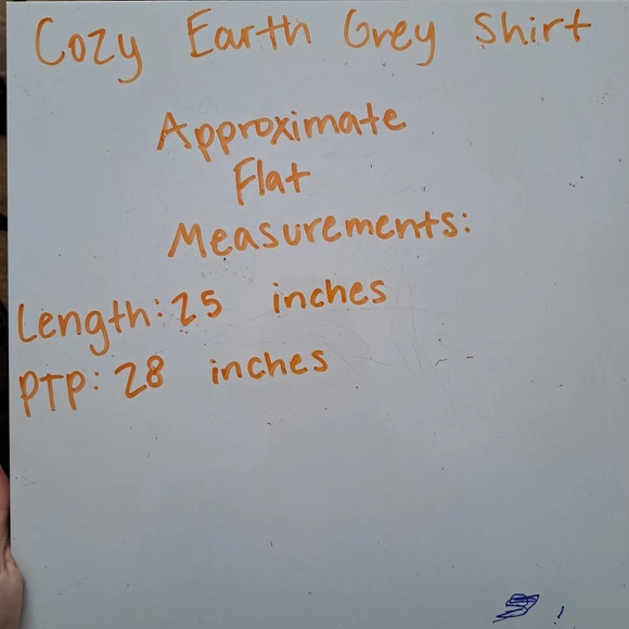 NEW Cozy Earth Women's Grey Bamboo Button Up Soft Shirt Pajama Top Size 3XL - Picture 7 of 7